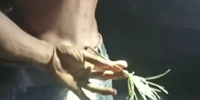 
					Puluhan Orang Diduga Staff PT MEG Menyerang Warga Rempang Menggunakan Sajam dan Busur