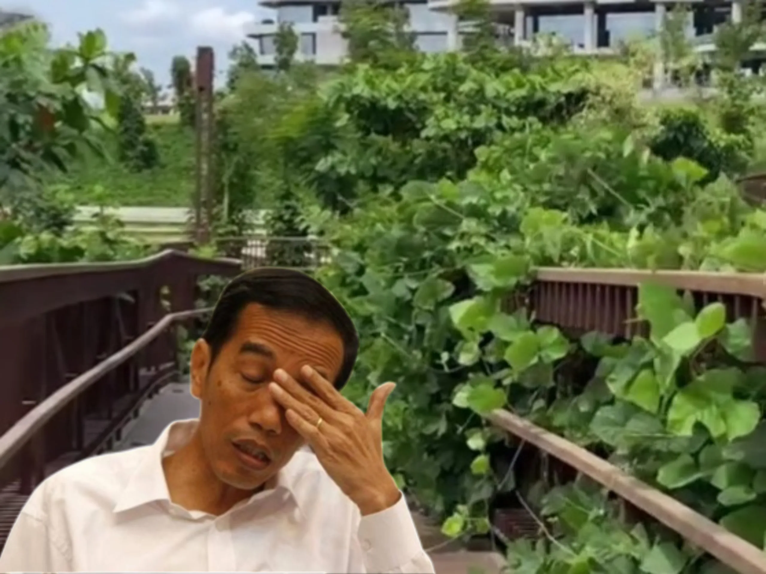 Kondisi IKN saat ini 