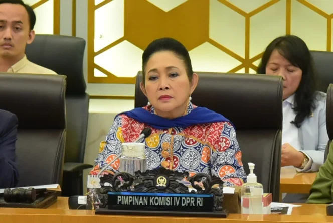 
					ketua Komisi IV DPR RI Siti Hediati Soeharto (foto: Parlementaria) 
