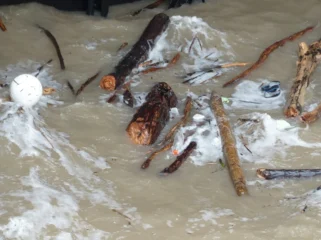 Ilustarasi Banjir (Foto : Pixabay)