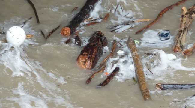 Ilustarasi Banjir (Foto : Pixabay)