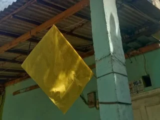 Kelangkaan Gas LPG 3kg membawa duka (Foto : Istimewa)