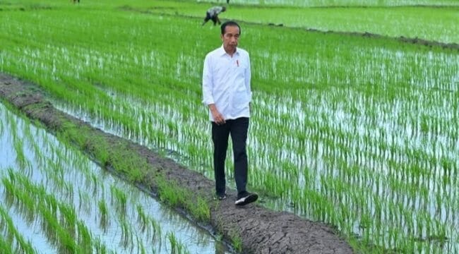 Mantan Presiden Indonesia ke-7 Joko Widodo (Foto: Humas Kepresidenan)