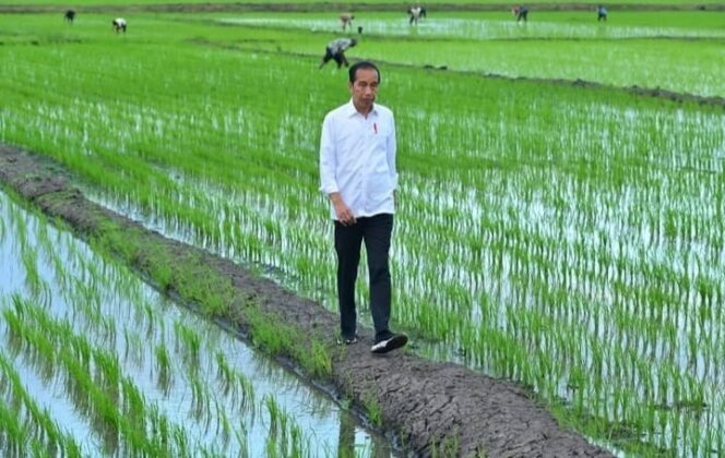 
					Mantan Presiden Indonesia ke-7 Joko Widodo (Foto: Humas Kepresidenan)