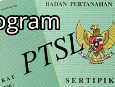 Sertifikat (Foto : Istimewa)