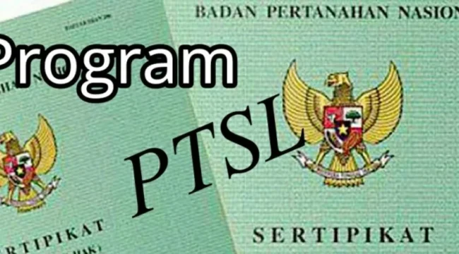 Sertifikat (Foto : Istimewa)