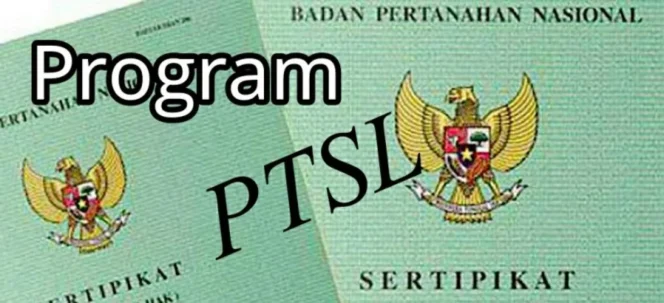
					Sertifikat (Foto : Istimewa)