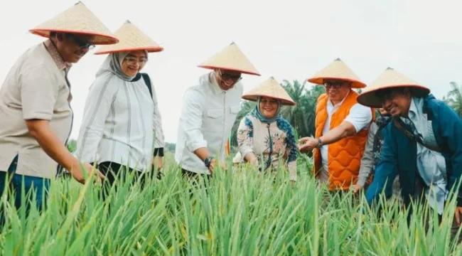 Deputi Bidang Koordinasi Keterjangkauan dan Keamanan Pangan Dr. Ir. Nani Hendiarti, M.Sc. saat meninjau perkembangan lokasi pilot project program Tampan yang diinisiasi PTPN IV di Kabupaten Siak, Provinsi Riau,. (Foto : ist)