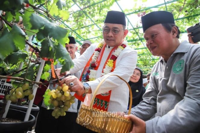 
					Wali Kota Jakarta Pusat Arifin saat mengahdiri Panen anggur (Foto : Kominfotik Pemkot Jakpus)