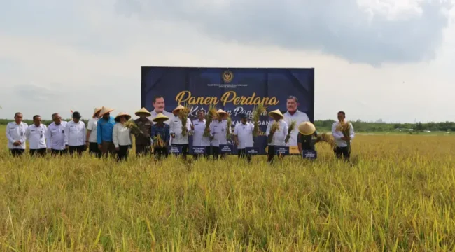 Menteri Imigrasi dan Pemasyarakatan, Agus Andriano, saat panen padi perdana di Nusakambangan (Foto: Humas Kemenimipas)