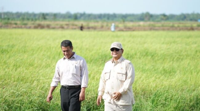 Menteri Pertanian Andi Amran Sulaiman bersama Presiden Prabowo Subianto saat meninjau pematang sawah 
(foto : Humas Kementan)