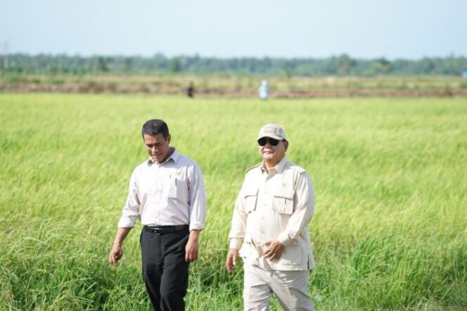 
					Menteri Pertanian Andi Amran Sulaiman bersama Presiden Prabowo Subianto saat meninjau pematang sawah 
(foto : Humas Kementan)