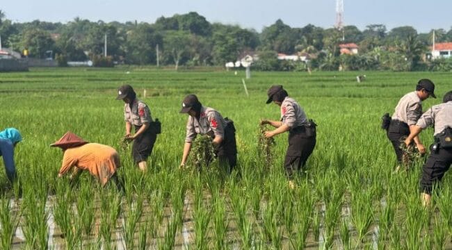 Salah saru kegiatan Anggota Sepolwan dalam Latihan Kerja (Foto : Humas Polri)