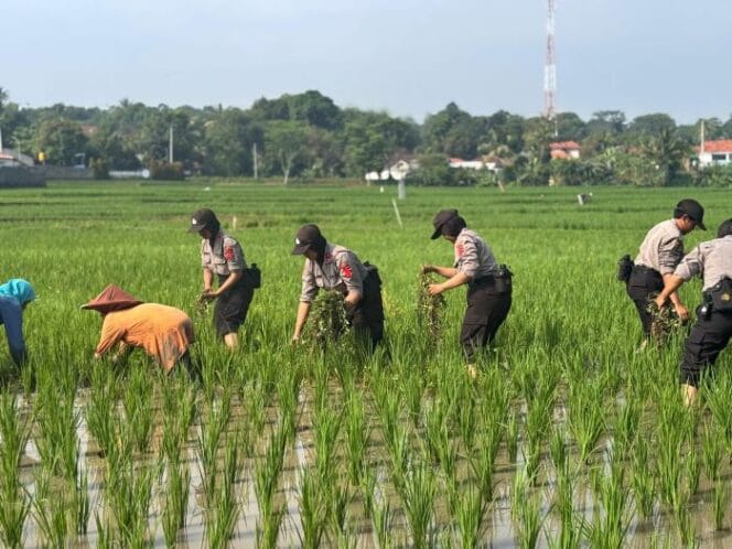 
					Salah saru kegiatan Anggota Sepolwan dalam Latihan Kerja (Foto : Humas Polri)