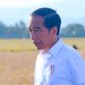 Gegara Ijazah Pasar Pramuka: Posisi Jokowi Kini Terkunci
