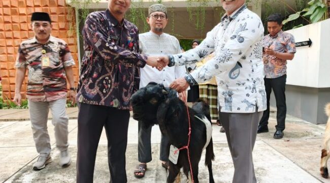 Camat Cempaka Putih, H.R. Igan Muhammad Faisal saat menyerahkan hewan kurban kepada pengurus Masjid. (Foto : Ist)