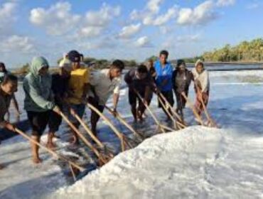 Ilustrasi Petani Garam (foto : Expo NTT)