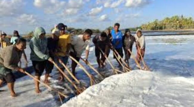 Ilustrasi Petani Garam (foto : Expo NTT)