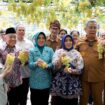 Ketua TP PKK Banten bersama Wali Kota Tangsel memanen buah anggur. (Foto: Istimewa)