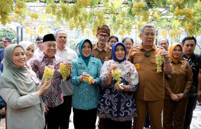 
Ketua TP PKK Banten bersama Wali Kota Tangsel memanen buah anggur. (Foto: Istimewa)