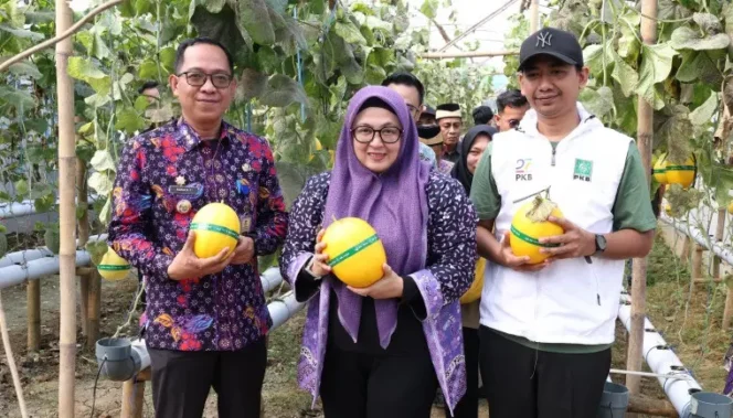 
Wabup Intan Nurul Apresiasi Green House Anugerah Farm di Desa Pasanggrahan