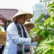 Wali Kota Jakarta Pusat Arifin saat hadir diacara Panen Raya Sayur Hidroponik .(Foto: Kominfotik Pemkot Jakpus)