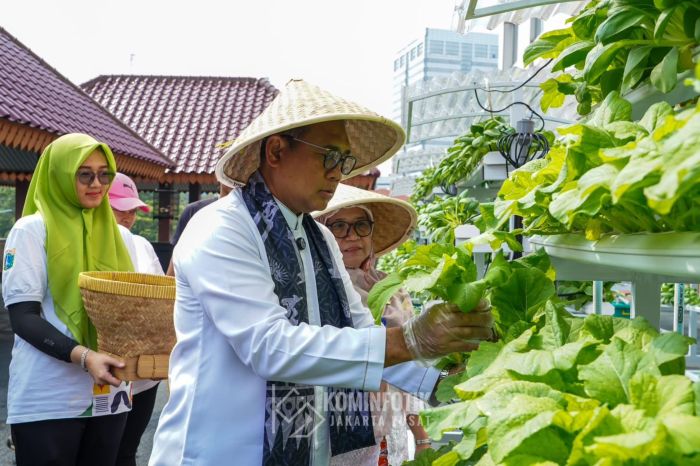 Wali Kota Jakarta Pusat Arifin saat hadir diacara Panen Raya Sayur Hidroponik .(Foto: Kominfotik Pemkot Jakpus)