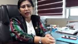 Anggota DPR RI Irma Suryani Chaniago. (foto : Ist)