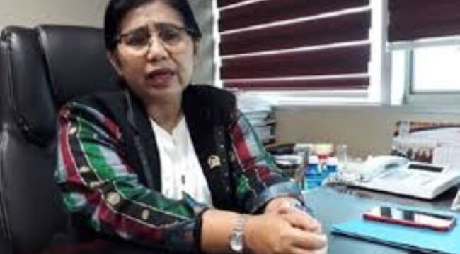 Anggota DPR RI Irma Suryani Chaniago. (foto : Ist)