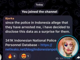 Isi Chat dari sosok yang mengaku Bjorka asli. (Foto: Tangkapan Layar akun X @dhadie_cat)