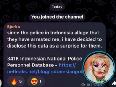 Isi Chat dari sosok yang mengaku Bjorka asli. (Foto: Tangkapan Layar akun X @dhadie_cat)
