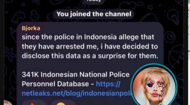 Isi Chat dari sosok yang mengaku Bjorka asli. (Foto: Tangkapan Layar akun X @dhadie_cat)