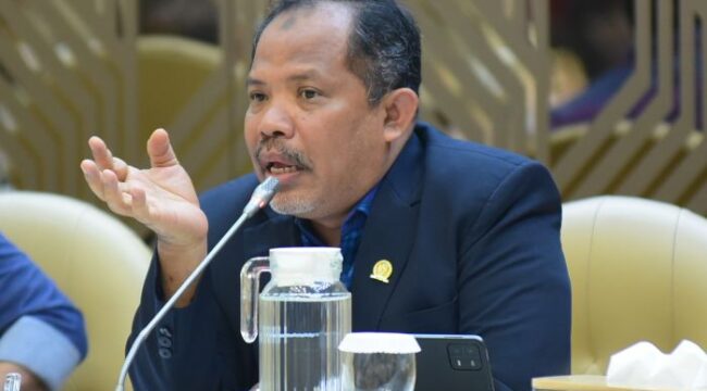 Anggota Komisi IV DPR RI Fraksi PKS Johan Rosihan (Foto: Parlementaria)