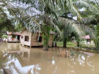 Kondisi Banjir di Tapanuli Selatan ( Foto : Ist)