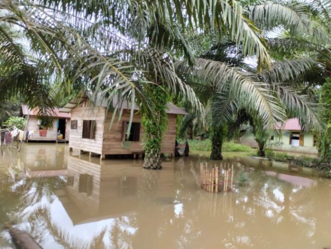 
					Kondisi Banjir di Tapanuli Selatan ( Foto : Ist)