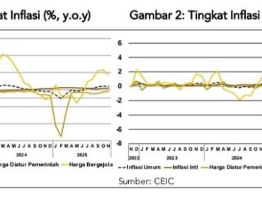 Grafik Inflasi (Foto : LPEM FEB UI)