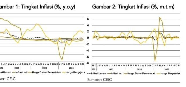 Grafik Inflasi (Foto : LPEM FEB UI)