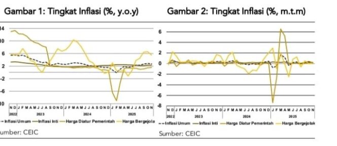 
					Grafik Inflasi (Foto : LPEM FEB UI)