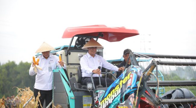 Menteri Pertanian Andi Amran Sulaiman (Mentan Amran) saat menghadiri Panen Raya Jagung Kuartal I Tahun 2026 Swasembada Jagung di Tembong Gunung, Desa Sukamahi, Kecamatan Cikarang Pusat, Bekasi, Kamis (8/1/2026). (Foto: Humas Kementan)