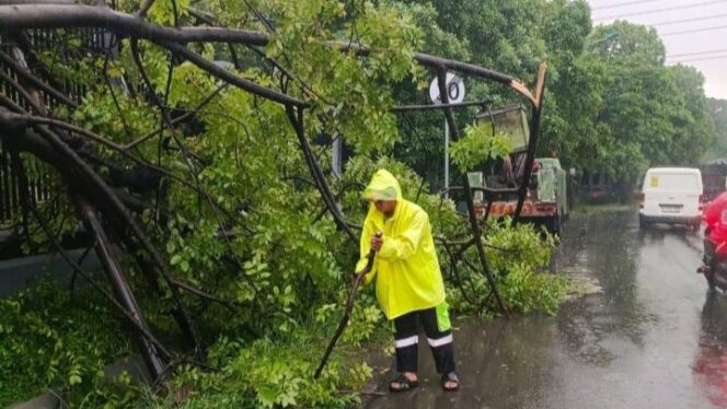 
					Hujan Deras Picu Genangan dan Pohon Tumbang di Tangerang, Pemkot Bergerak Cepat