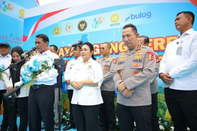 
					Menteri Pertanian Andi Amran Sulaiman (Pojok Kiri) saat hadir di Panen Raya. (Foto :Humas Kementan)
