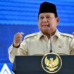 Presiden RI Prabowo Subianto (Foto : Ist)