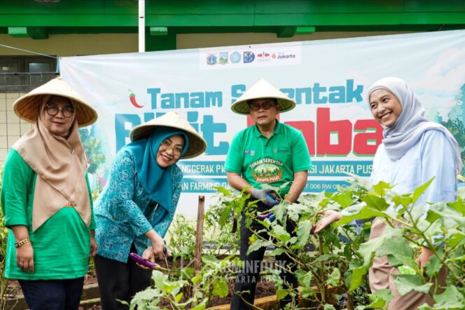 
					Jaga Ketahanan Pangan, Pemkot Jakpus Galakan Tanam Cabai di 59 Lokasi