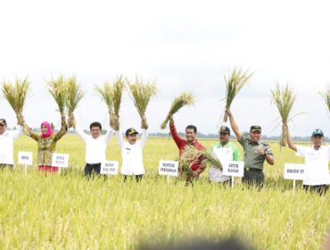 Panen Raya Padi di Kabupaten Pati Jawa Tengah. (Foto: Kementan)