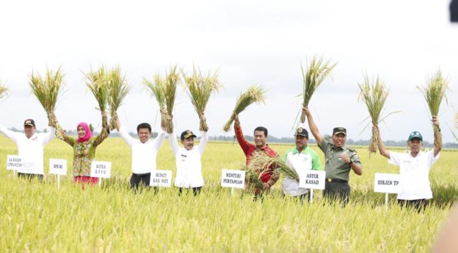 Panen Raya Padi di Kabupaten Pati Jawa Tengah. (Foto: Kementan)