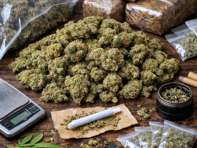 
					Aksi Cepat Ditresnarkoba Polda Metro Jaya Gagalkan Peredaran Ganja 906 Gram