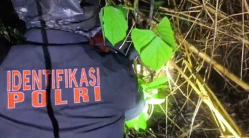 Potongan Tubuh Korban Mutilasi dalam Freezer Ditemukan di Puncak 2 Bogor