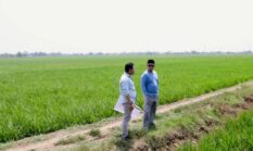 Menteri Nusron Pastikan Pembangunan Industri di Indramayu Tidak Merambah Lahan LSD