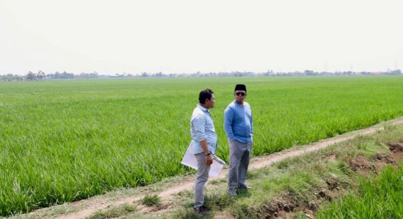 foto slider headline