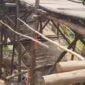 Kondisi penyanggah jembatan kayu yang sangat memprihatinkan. (Foto: Istimewa)